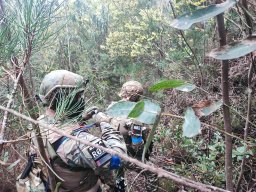 Varios Jogos e Eventos